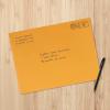 imageAmazon Basics Clasp Kraft Envelopes Gummed Mailing Envelope 9 x 12 inch 100PackKraft
