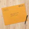imageAmazon Basics Clasp Kraft Envelopes Gummed Mailing Envelope 9 x 12 inch 100PackKraft