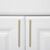 imageAmazon Basics Euro Bar Cabinet Handle 12inch Diameter 538 in Length 3 in Hole Center Flat Black Pack of 10 AB1500FB10Golden Champagne