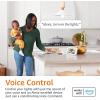 imageAmazon Basics Smart A19 LED Light Bulb Color Changing 9W 60W Equivalent 800LM Works with Alexa Only 24 GHz WiFi No Hub Required 1 PackColor Changing