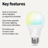 imageAmazon Basics Smart A19 LED Light Bulb Color Changing 9W 60W Equivalent 800LM Works with Alexa Only 24 GHz WiFi No Hub Required 1 PackTunable White With Adjustable Schedule