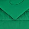 imageAmazon Basics 3 Piece Microfiber Kids Comforter and Pillow Sham Set FullQueen Red SolidGreen