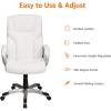 imageAmazon Basics Executive High Back Office Desk Chair Adjustable Height Tilt Swivel one Size WhitePewterWhitePewter