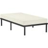 imageAmazon Basics Heavy Duty NonSlip Bed Frame with Steel Slats Easy Assembly  18quotH Queen BlackTwin
