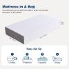 imageAmazon Basics Memory Foam Mattress Medium Firm 10 Inch Twin WhiteGreyTwin