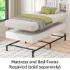 imageAmazon Basics Smart Box Spring Bed Base 5Inch Height Mattress Foundation ToolFree Easy Assembly Queen 79quotL x 595quotW x 5quotH WhiteTwin74L x 38W