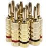 imageAmazon Basics 14Gauge Speaker Wire Cable with Monoprice Gold Plated Banana Plugs