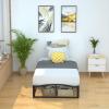 imageAmazon Basics Metal Platform Bed Frame with Wood Slat Support 6 Inches High Twin BlackTwin