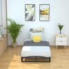 imageAmazon Basics Metal Platform Bed Frame with Wood Slat Support 6 Inches High Twin BlackTwin