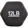 imageAmazon Basics Neoprene Dumbbell Hand Weights for Exercise and Muscle Toning12 Pound  Pair