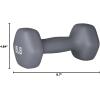 imageAmazon Basics Neoprene Dumbbell Hand Weights for Exercise and Muscle Toning15 Pound  Pair