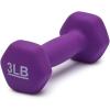 imageAmazon Basics Neoprene Dumbbell Hand Weights for Exercise and Muscle Toning3 Pound  Pair