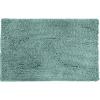 imageAmazon Basics Platinum Bathroom Rugs Extra Soft and Comfortable Shag Bath Mats NonSlip Quick Drying Machine Washable for Bathroom Floor Tub and Shower 21quot x 34quot PlatinumSeafoam Green