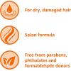 imageAmazon Basics Soft ampamp Sleek Conditioner for Dry or Damaged Hair 28 Fluid Ounce28 Ounce Pack of 1