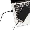 imageAmazon Basics USBC to USBA 20 Fast Charger Cable 480Mbps Speed USBIF Certified for Apple iPhone 1615 iPad Samsung Galaxy Tablets 3 Foot BlackBlack