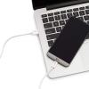 imageAmazon Basics USBC to USBA 20 Fast Charger Cable 480Mbps Speed USBIF Certified for Apple iPhone 1615 iPad Samsung Galaxy Tablets 3 Foot BlackWhite