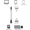 imageAmazon Basics USBC to USBA 31 Gen1 Female Adapter Cable Converter 5Gbps HighSpeed USBIF Certified for Laptops Tablets Phones iPhone 1615 WhiteBlack