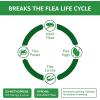imageAmazon Basics Flea and Tick Topical Treatment for Cats Over 15 Pounds 6 Count Previously Solimo6 Count