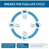imageAmazon Basics Flea and Tick Topical Treatment for Medium Dogs 2344 Pounds 3 Count Previously Solimo
