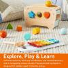 imageAmazon Basics Musical Pounding Bench With Xylophone and Shape Sorter ToyKids Gift for Toddlers Age 18M Boy Girl Baby 116 x 52 x 63 inches Multicolor