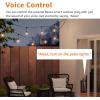 imageAmazon Basics Outdoor Smart Plug with 2 Individually Controlled Outlets Works with Alexa Only 24 GHz WiFi No Hub Required Black