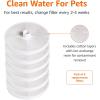 imageAmazon Basics Pet Water Fountain with Stainless Steel Top 3L White 3 Filters included3L