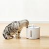 imageAmazon Basics Pet Water Fountain with Stainless Steel Top 3L White 3 Filters included3L