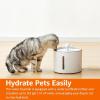 imageAmazon Basics Pet Water Fountain with Stainless Steel Top 3L White 3 Filters included3L