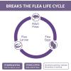 imageAmazon Basics Topical Flea Treatment for Large Cats Over 9 Pounds 4 Count Previously Solimo4 Count