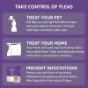 imageAmazon Basics Topical Flea Treatment for Large Cats Over 9 Pounds 4 Count Previously Solimo4 Count