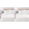 imageAmazon Basics 3 Piece Bedding Set Micromink Sherpa UltraSoft Warm All Season Comforter King Charcoal SolidCream