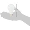 imageAmazon Basics A19 LED Light Bulbs 60 Watt Equivalent Energy Efficient 9W E26 Standard Base Soft White 2700K Dimmable 10000 Hour Lifetime  6PackSoft White