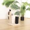 imageAmazon Basics Cat Scratcher  Indoor Classic Single Cat ampamp Kittens Scratching Post Medium 315quotH  GreyBeige