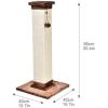 imageAmazon Basics Cat Scratcher  Indoor Classic Single Cat ampamp Kittens Scratching Post Medium 315quotH  GreyBrown