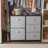 imageAmazon Basics Closet Organizer Drawers with 5Fabric Storage Units WhiteBlack