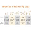 imageAmazon Basics Cooling Breathable Elevated Dog Bed with Metal Frame for Small Dogs 36 x 22 x 75 Inch GreenGrey