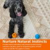 imageAmazon Basics Dog Toys Interactive Assorted Rubber Balls Pack of 3 25 inch Blue Beige OrangeAssorted Balls Pack of 3