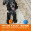 imageAmazon Basics Dog Toys Interactive Assorted Rubber Balls Pack of 3 25 inch Blue Beige OrangeFetch Balls Pack of 10