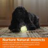 imageAmazon Basics Dog Toys Interactive Assorted Rubber Balls Pack of 3 25 inch Blue Beige OrangeGlow Balls Pack of 3