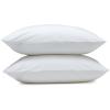 imageAmazon Basics Down Alternative Pillows Soft Density for Stomach and Back Sleepers Queen  Pack of 2 White 30 in L x 20 in WStandard 2 Pillows  2 Protectors