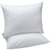 imageAmazon Basics Down Alternative Pillows Soft Density for Stomach and Back Sleepers Queen  Pack of 2 White 30 in L x 20 in WStandard 2 Pillows  2 Protectors