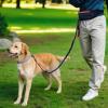 imageAmazon Basics Hands Free Dog Leash with Running Bag Adjustable Waist Belt Dual Padded Handles Reflective Bungee Leash for Walking Jogging Hiking Fits Small to Large Dogs Up to 150 lbs