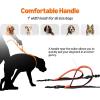 imageAmazon Basics Hands Free Dog Leash with Running Bag Adjustable Waist Belt Dual Padded Handles Reflective Bungee Leash for Walking Jogging Hiking Fits Small to Large Dogs Up to 150 lbs
