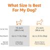 imageAmazon Basics HardSided Dog and Cat Kennel SingleDoor Travel Pet Carrier with Metal Wire Ventilation 236quotL x 157quotW x 130quotH BeigeGray  Blue