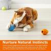 imageAmazon Basics Interactive Dog Treat Dispensing Enrichment Chew Toy Large Multi Color 2PackLarge