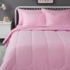 imageAmazon Basics Kids Soft Easy Care Microfiber BedinaBag 5Piece Bedding Set Twin Butterfly FriendsPink