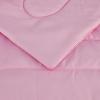 imageAmazon Basics Kids Soft Easy Care Microfiber BedinaBag 5Piece Bedding Set Twin Butterfly FriendsPink
