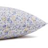 imageAmazon Basics Lightweight Super Soft WrinkleFree Easy Care Microfiber 4Piece Bed Sheet Set with 14Inch Deep Pockets Full Bright White SolidBlue Floral
