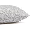 imageAmazon Basics Lightweight Super Soft WrinkleFree Easy Care Microfiber 4Piece Bed Sheet Set with 14Inch Deep Pockets Full Bright White SolidGray Cheetah