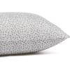 imageAmazon Basics Lightweight Super Soft WrinkleFree Easy Care Microfiber 4Piece Bed Sheet Set with 14Inch Deep Pockets Full Bright White SolidGray Cheetah